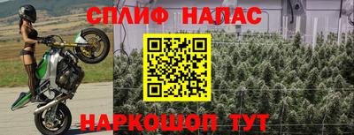 ECSTASY Будённовск