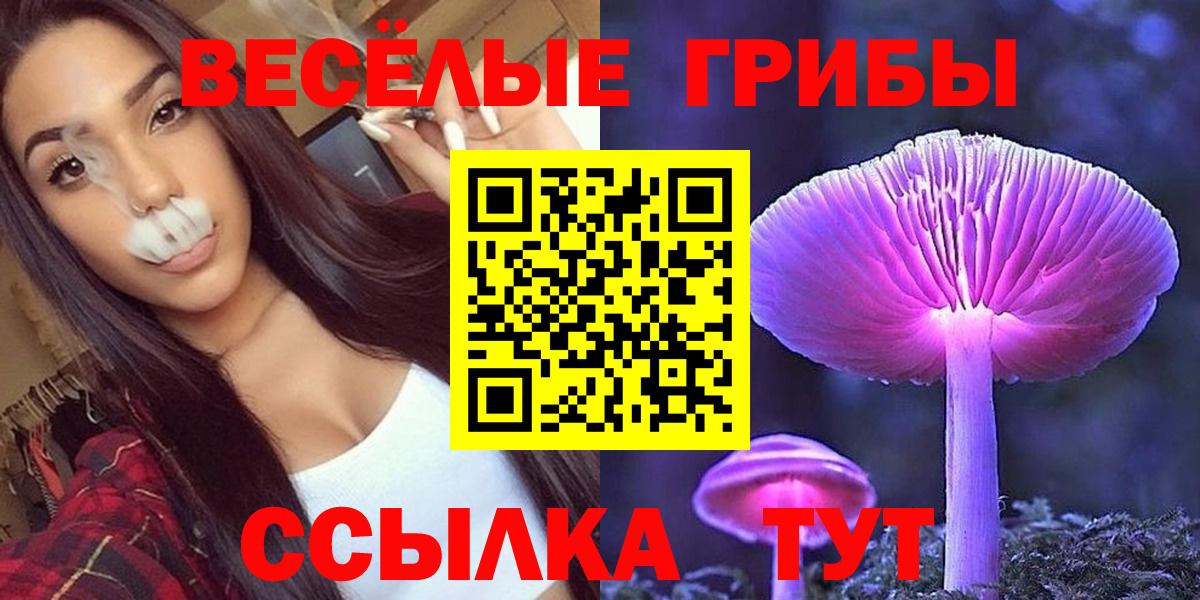 Псилоцибиновые грибы Psilocybe  Вход с VPN  Мичуринск  Галлюциногенные грибы Psilocybe 